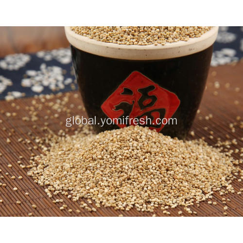 Quinoa Rice Quinoa 3 Colors Supplier